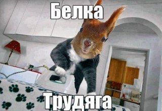 Трудоголизм: как работа может сократить вашу жизнь на 25 лет