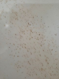 Отключение холодной воды в Обухово: жители в панике