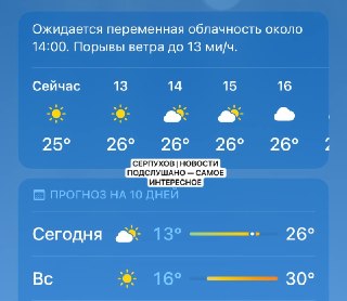 Жаркая погода в Подмосковье: оранжевый уровень опасности