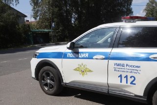 Полиция Краснозаводска задержала воровку дачного имущества