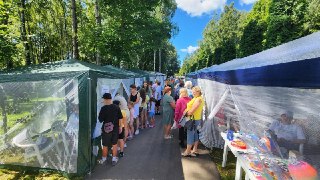 Городок здоровья в Талдоме: бесплатные обследования и мастер-классы