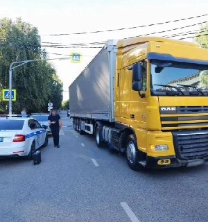 ДТП в Ногинске: двое женщин погибли в результате наезда грузовика